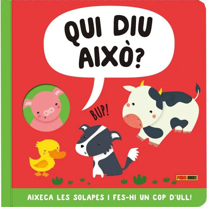 AIXECA SOLAPES: QUI DIU AIXO?