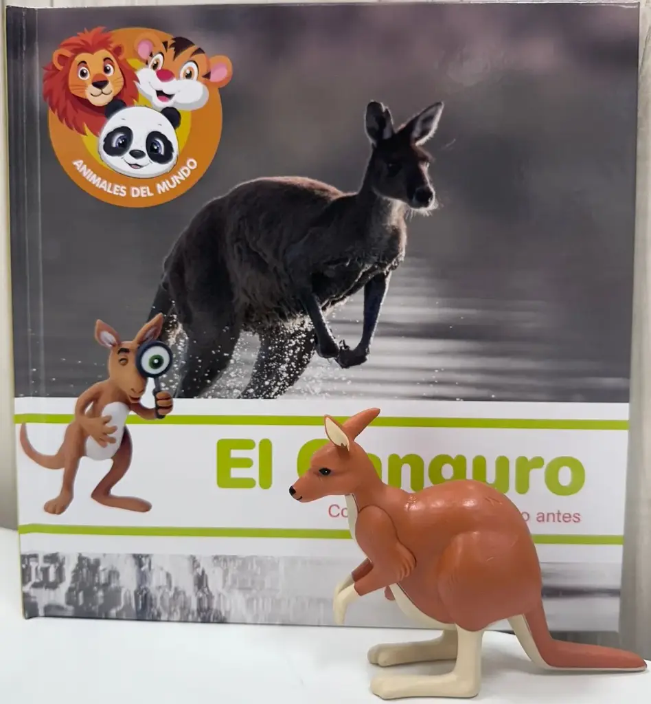 ANIMALES DEL MUNDO - EL CANGURO 